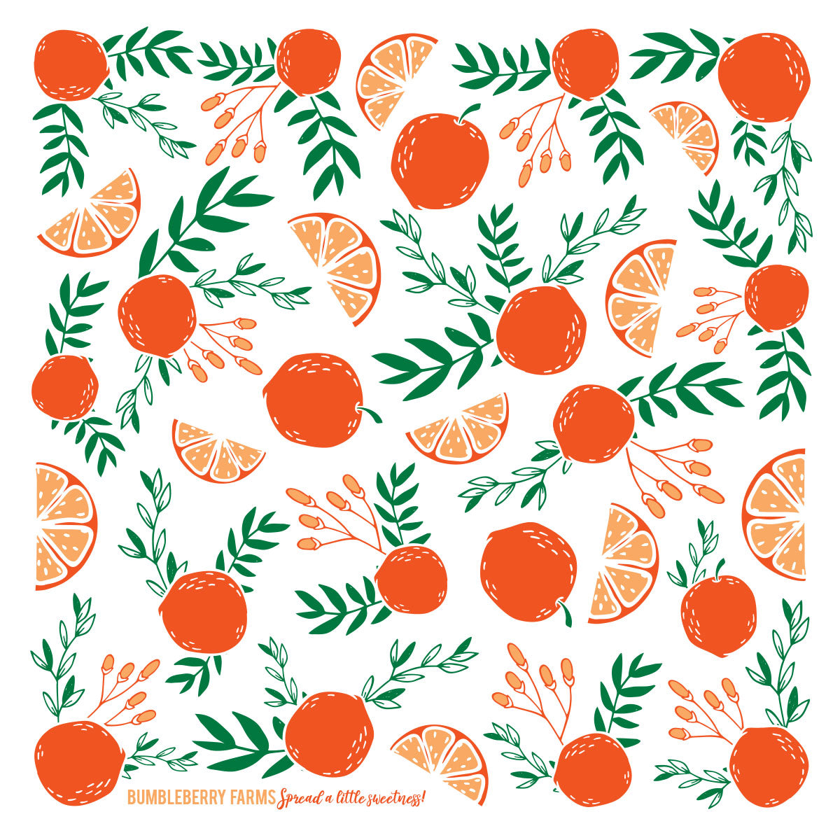 Orange Dish Towel