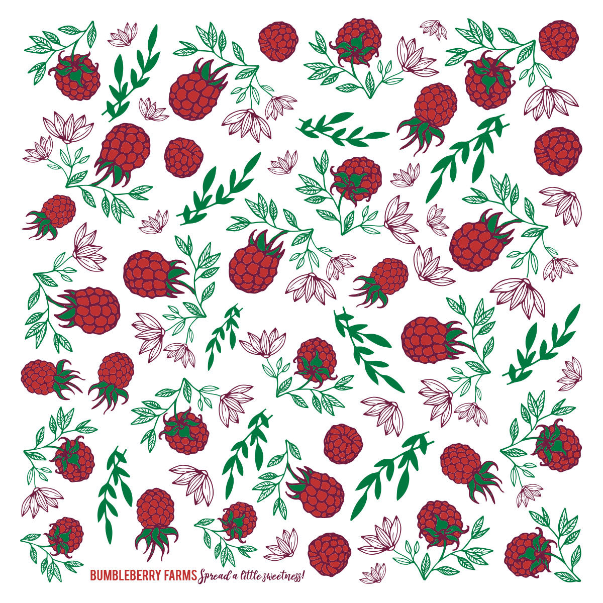 Raspberry Dish Towel